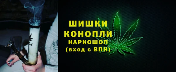 метадон Няндома