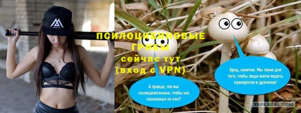 скорость Новокубанск