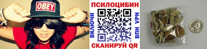 что такое наркотик  Великий Новгород  Псилоцибиновые грибы мухоморы 