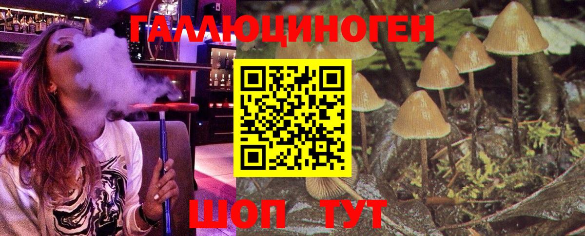 Галлюциногенные грибы прущие грибы  Вход с VPN  Великий Новгород  Псилоцибиновые грибы мицелий 